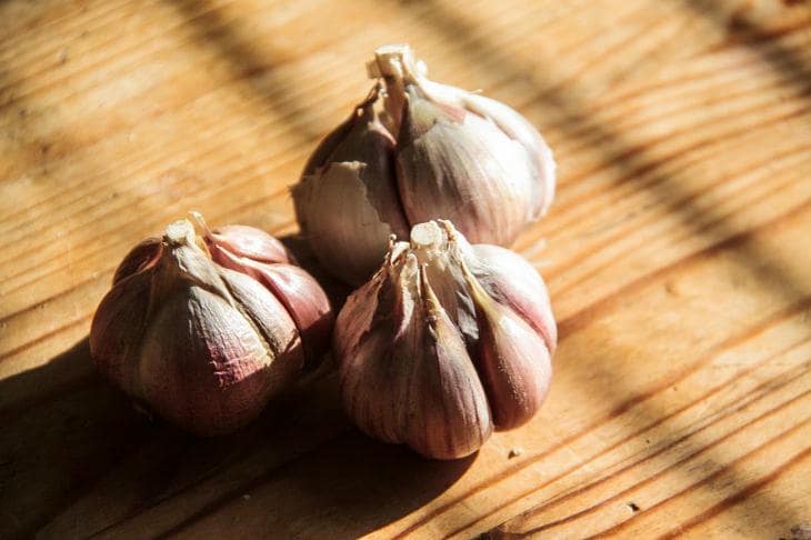 Zašto iskusne domaćice skrivaju češnjak: malo poznati trikovi koji će riješiti vaše kulinarske probleme