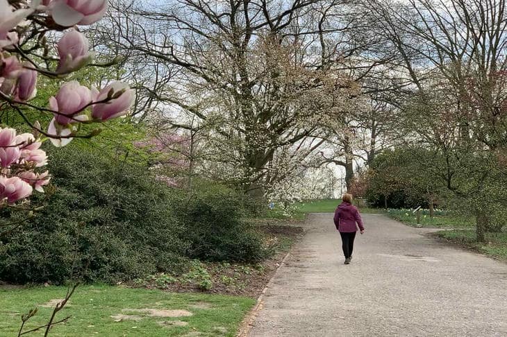 Zašto je 10 000 koraka samo prekrasan broj: što znanost stvarno kaže o našoj dnevnoj normi