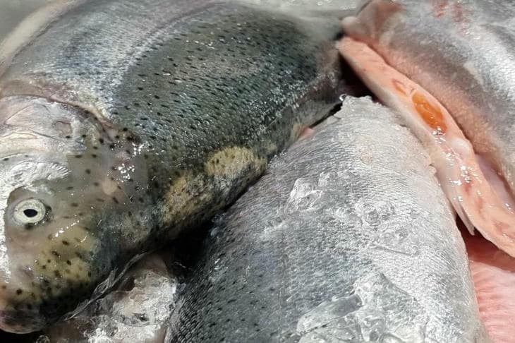 Zašto je ribi potreban limun prije soli: kako kiselina stvara mjesto za kristale